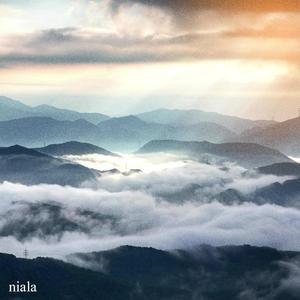 niala