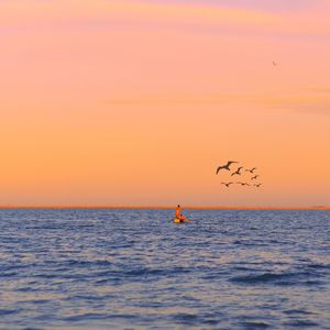 还是一片银杏叶