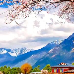 再见了，我的双鱼座