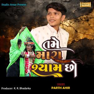 vasadi vagadi vale (Parth Ahir)