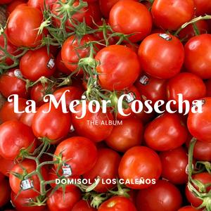 El Amor No Se Compra