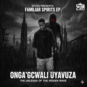 Umswenko (feat. Zondo ZA, Thee sjamza, Slem katt, Kat & Geezo)