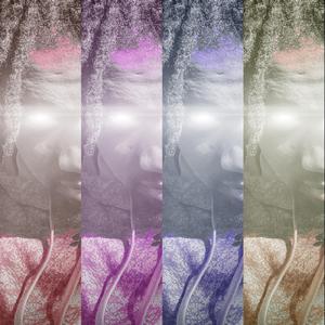 Bottom Of The Bottle