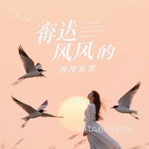 奔赴季风的候鸟