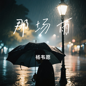 那场雨