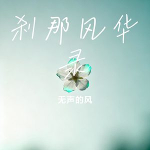 刹那风华录