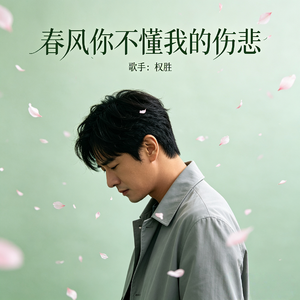 春风你不懂我的伤悲
