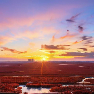 东皇太一（纯音）