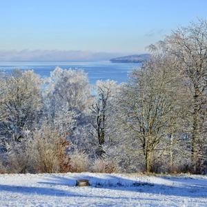 Stjärneljus
