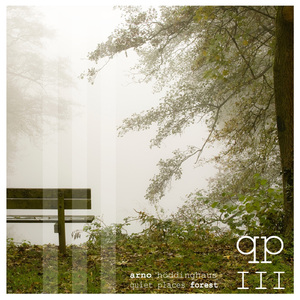 Forest 5