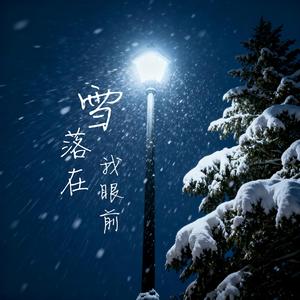 雪落在我眼前