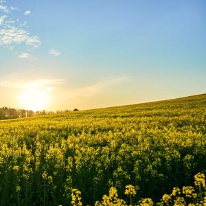 踏み出した一歩