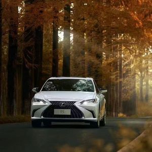 故土思绪的归乡行