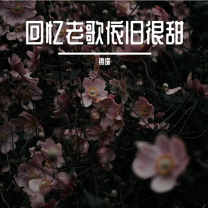 红色高跟鞋(3D版)(无和声版)