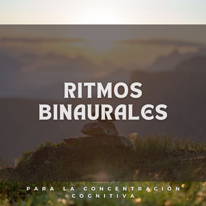 Afinación De Vigilancia