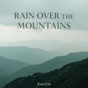 Misty Forest Morning