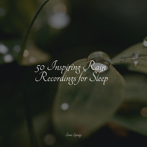 Pond, Splashing Water, Pebbles