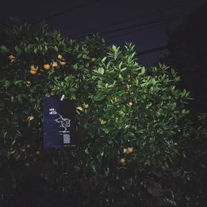 what is going on - demo (prod. Dan Darmawan)