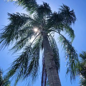 Uncover（3D 环绕版）（Salao remix）