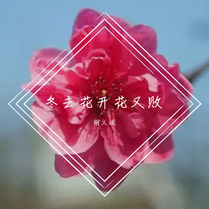 冬去花开花又败