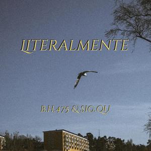 Literalmente (feat. Sig Qu)