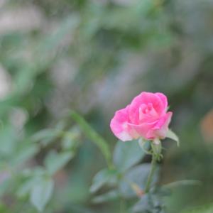 もう一回（One More Time）