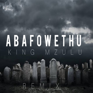 ABAFOWETHU (REMIX)