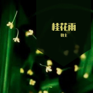 桂花雨（AI-xstudio）