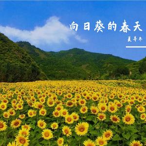 思念像星星一样闪亮(Pure music)