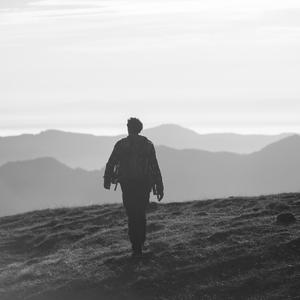 Looking for an answer...