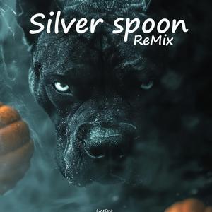 Silver Spoon