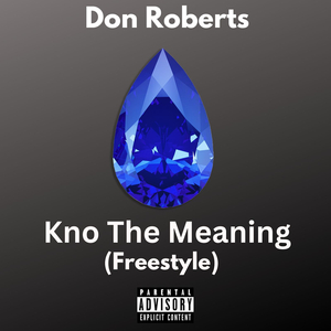 Kno the Meaning (Freestyle)