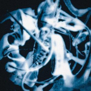 Everyday (Will Not Fear, Lodge Boy Remix)