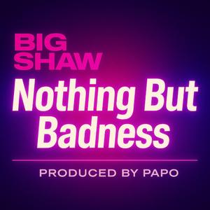 Nothing But Badness (feat. Papo Productions)