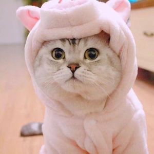 杨丞琳-匿名的好友~2(Remix)