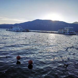 老风扇（cover）