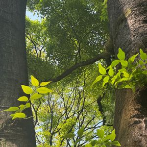 偶然相逢的缘分爱恋