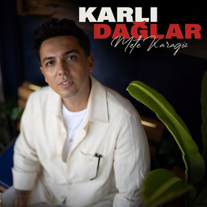 Karlı Dağlar