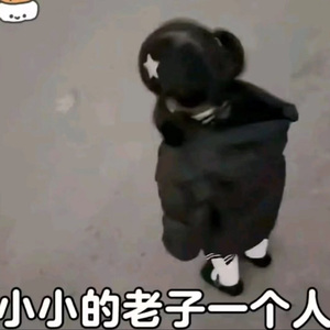佳宝