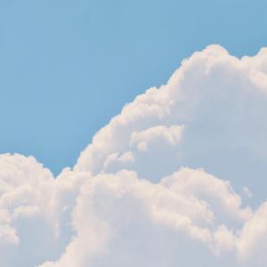白日梦
