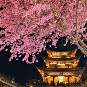 十里桃花待嫁的年华 (空灵鼓)