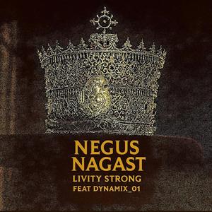 Negus Nagast (feat. Dynamix_01)