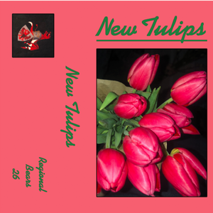 Trip To Southend Lane, Beckenham And Penge