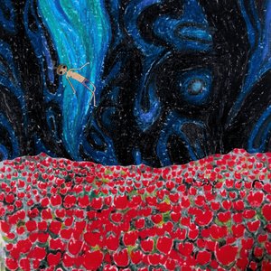 Ser Cobarde Significa