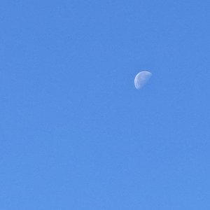 烟霞-合唱版