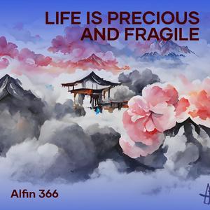 Life Is Precious and Fragile