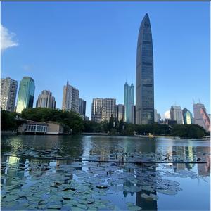 鸽子（西班牙民歌）