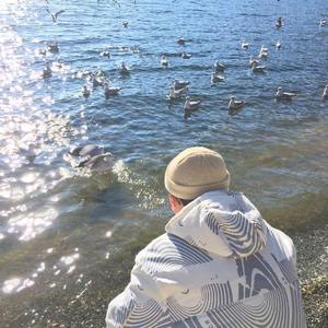 以梦为马（翻自 赖湘文）