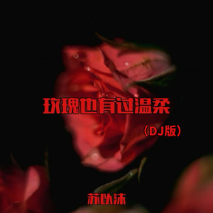 玫瑰也有过温柔 (Dj版)