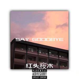 SAY GOODBYE